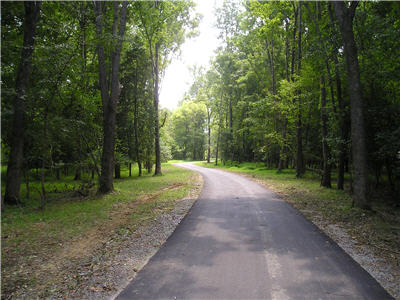 Action Alert:  Raleigh Greenway Threatened by Vocal Locals