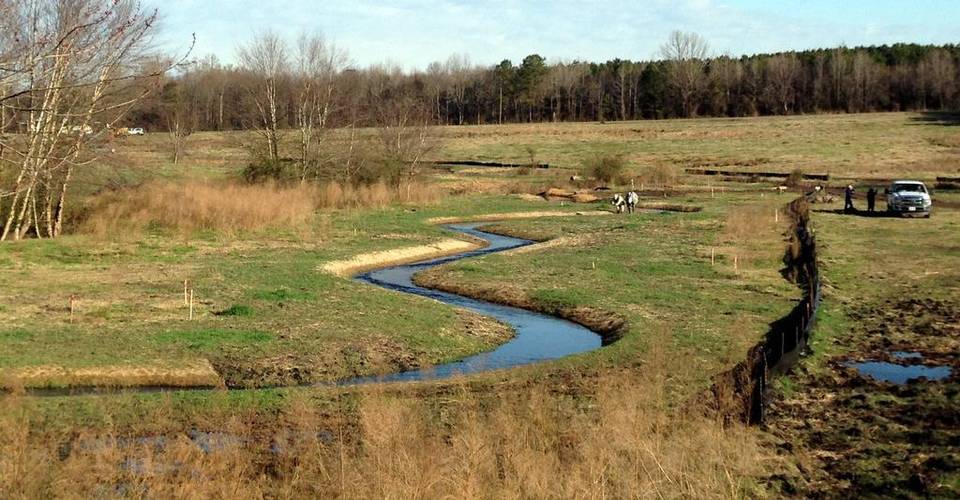Bill approved by Senate would reduce stream mitigation in NC